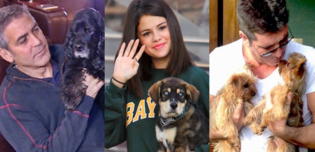 Celebrities & their beloved dogs
