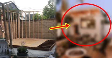 Dad Built Beautiful Coffee Shop