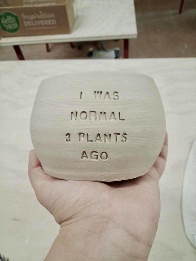 Unique Plant Pots