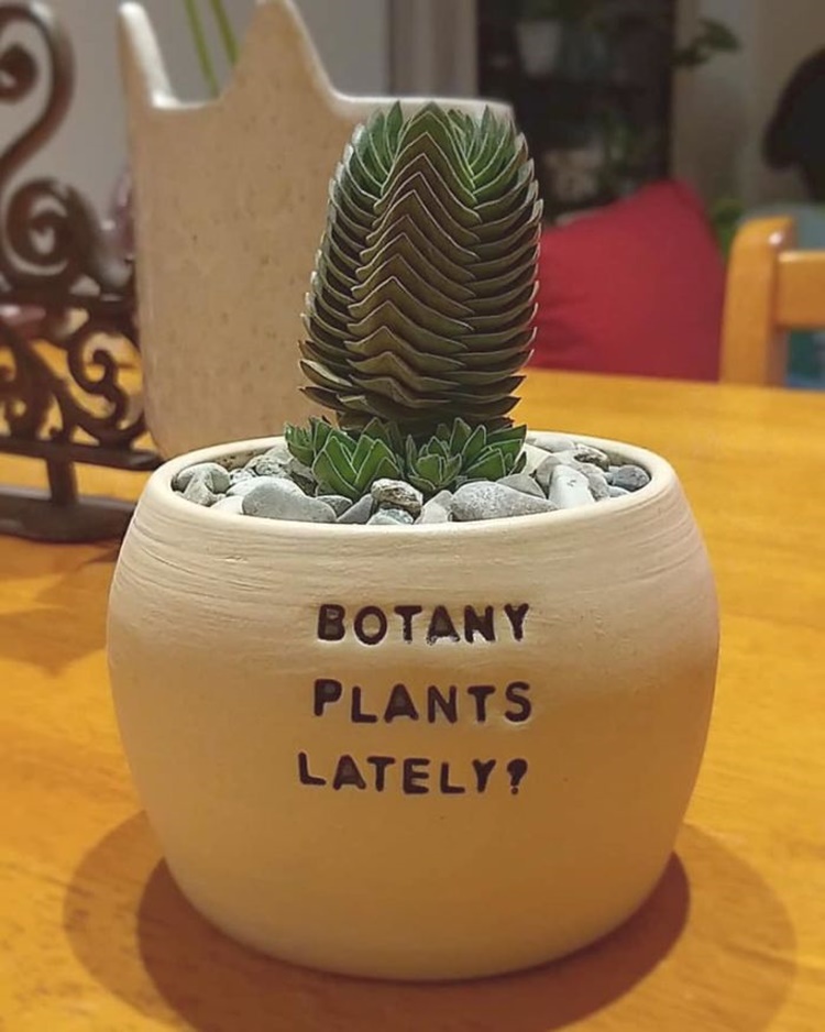Plant Pots
