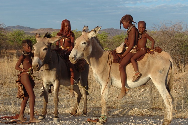 himba people 