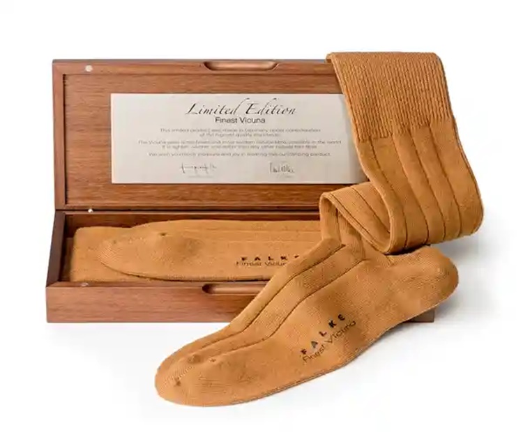 most expensive ordinary items