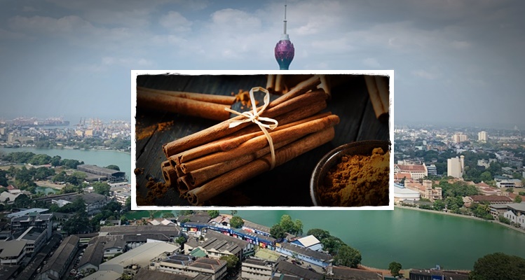 Cinnamon: The History Of The Spice From Sri Lanka