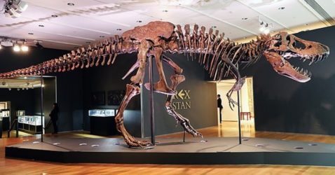 highest price for fossil