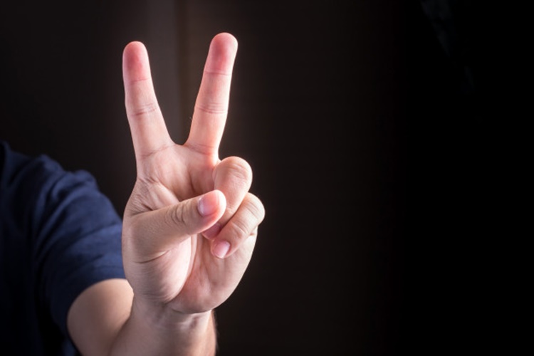 Hand Gestures