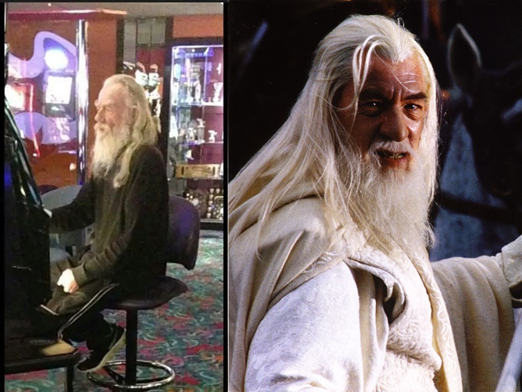 celebrity look-alikes
