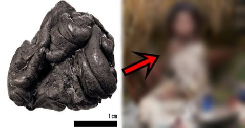 stone age chewing gum