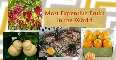 most expensive fruits