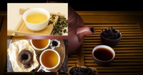 10 most expensive teas