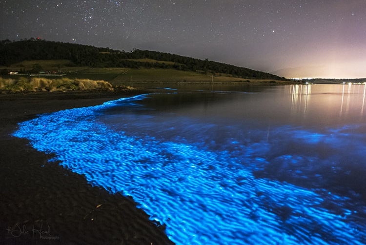 milky sea phenomenon