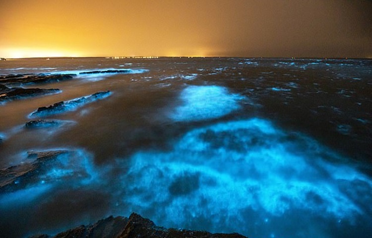 milky sea phenomenon