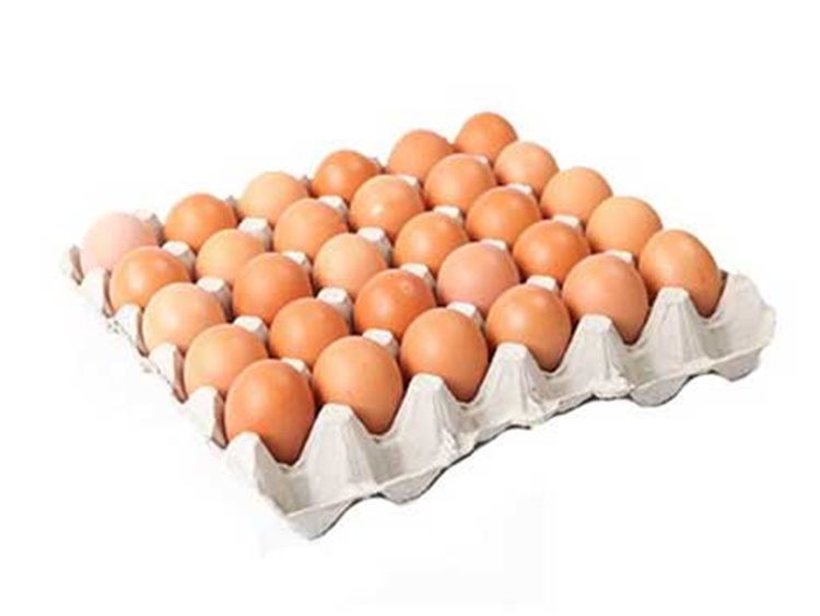 canada egg carton