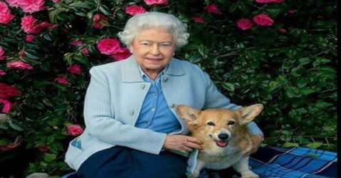 Pembroke Welsh Corgi, Queen Elizabeth