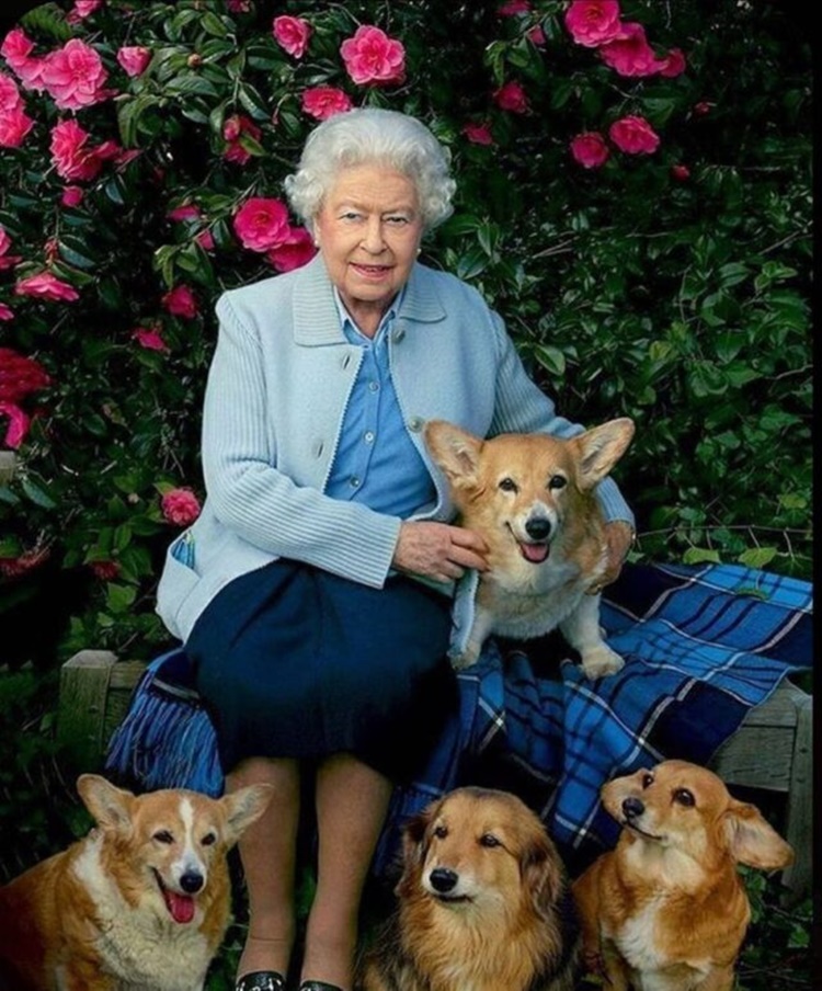 Pembroke Welsh Corgi, Queen Elizabeth