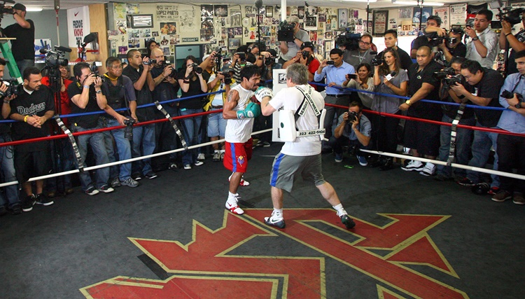 Wild Card Boxing Club