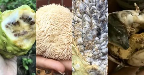 weird looking foods