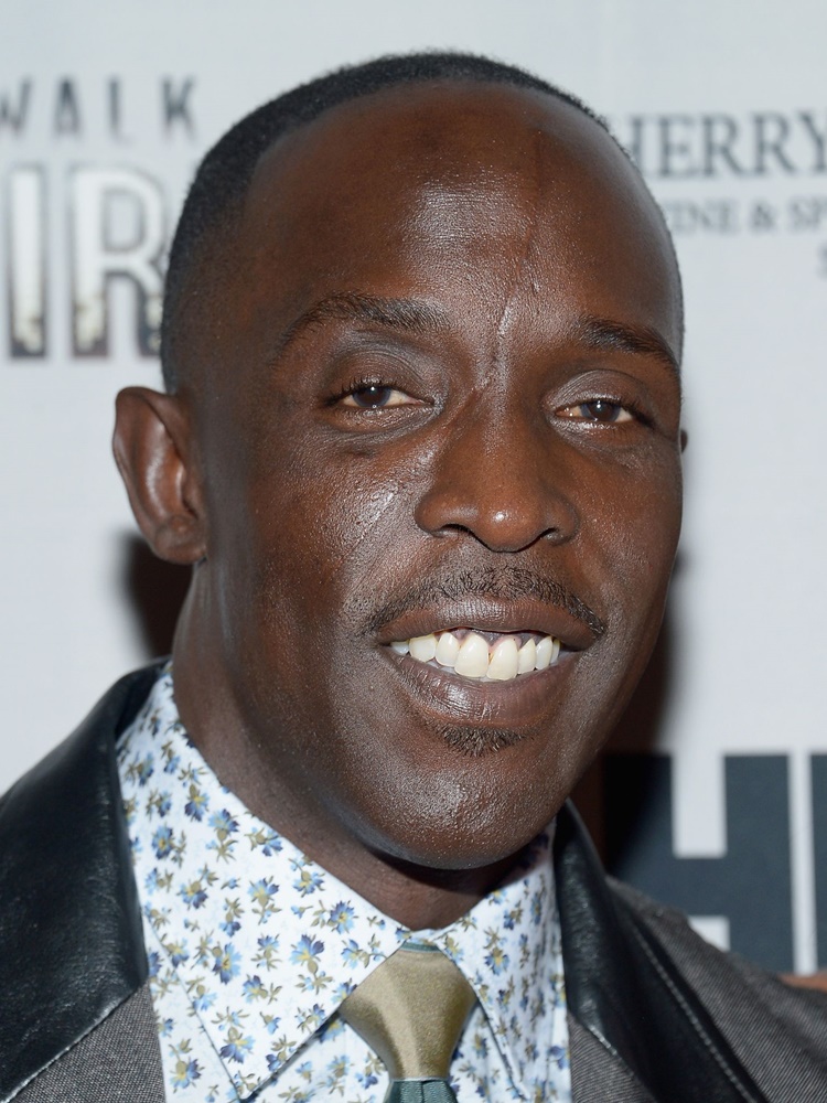 Michael K Williams Net Worth How Rich Is The The Wire Actor