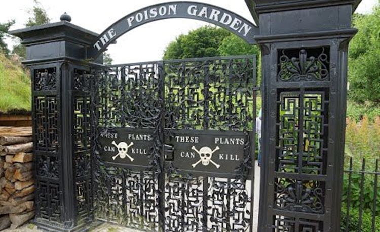 the poison garden 