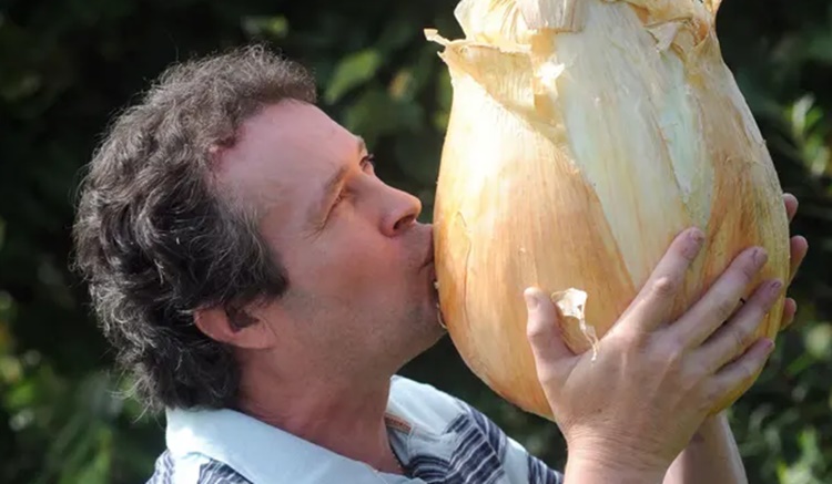 Heaviest onion