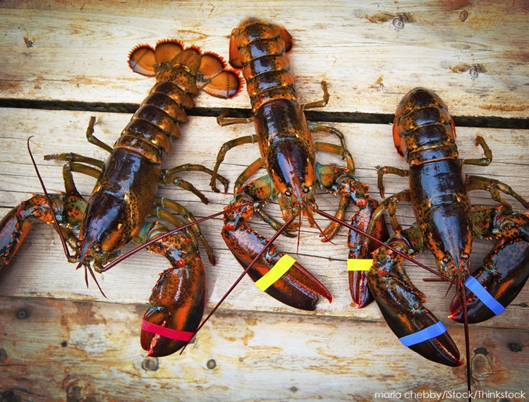 Lobsters