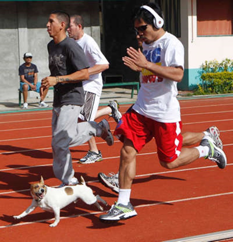Trivia about Manny Pacquiao