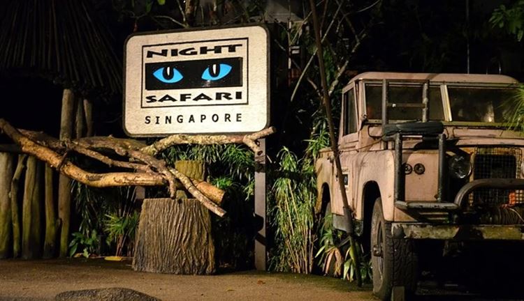 singapore night safari 