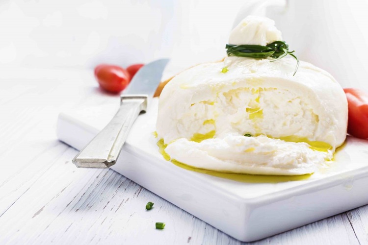 Burrata - Best Cheese To Pair with Wine