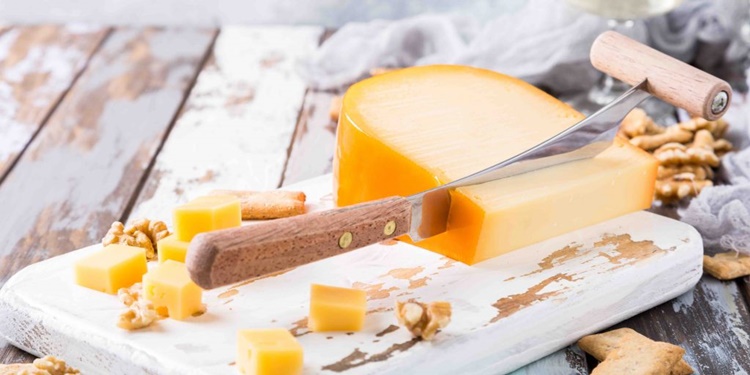 Gouda Cheese