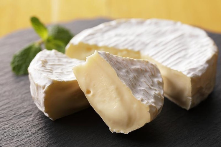 Moose Cheese - Most Expensive Cheese in the World