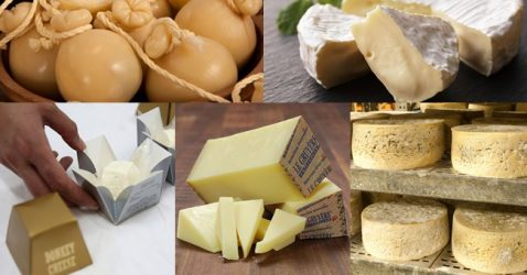 Most Expensive Cheese in the World