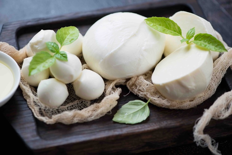Mozzarella Cheese - Best Cheese To Pair with Wine