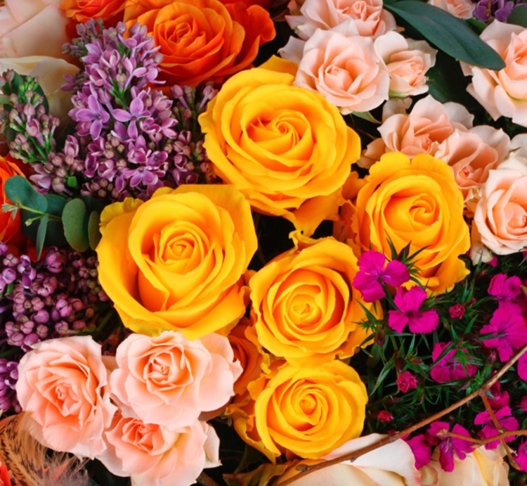 Roses