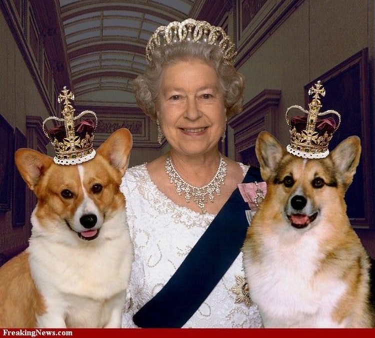 Trivia about Queen Elizabeth II