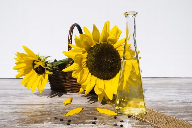 Trivia about Sunflowers