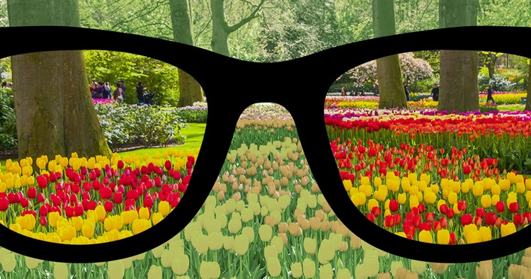 color blind