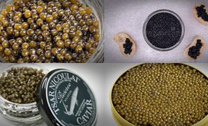 most expensive caviar
