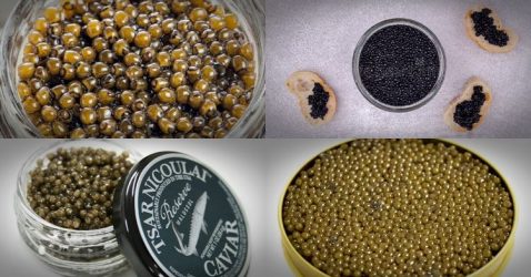 most expensive caviar