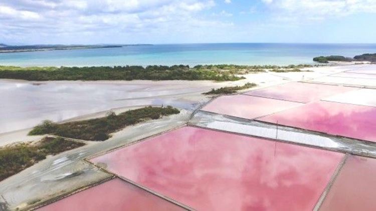 pink salt flats