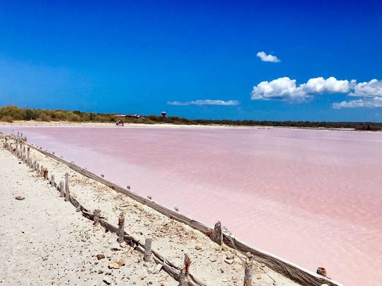 pink salt flats