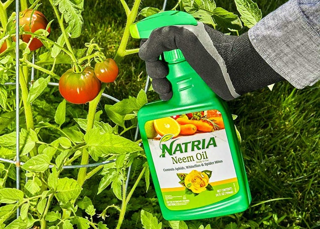 Natria Neem Oil Spray by BioAdvanced - Pest Control