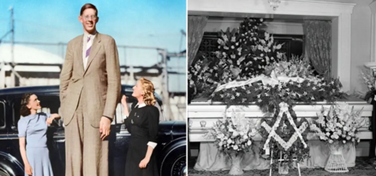 Robert Wadlow