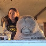 Young woman smiling beside a walrus calf