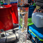 Coral samples inside a coral torpedo ready for seafloor outplanting