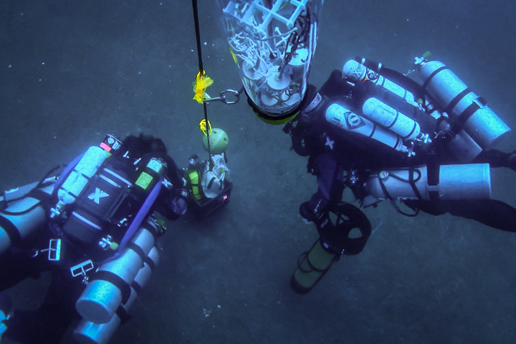Divers wait near the coral torpedo for outplanting