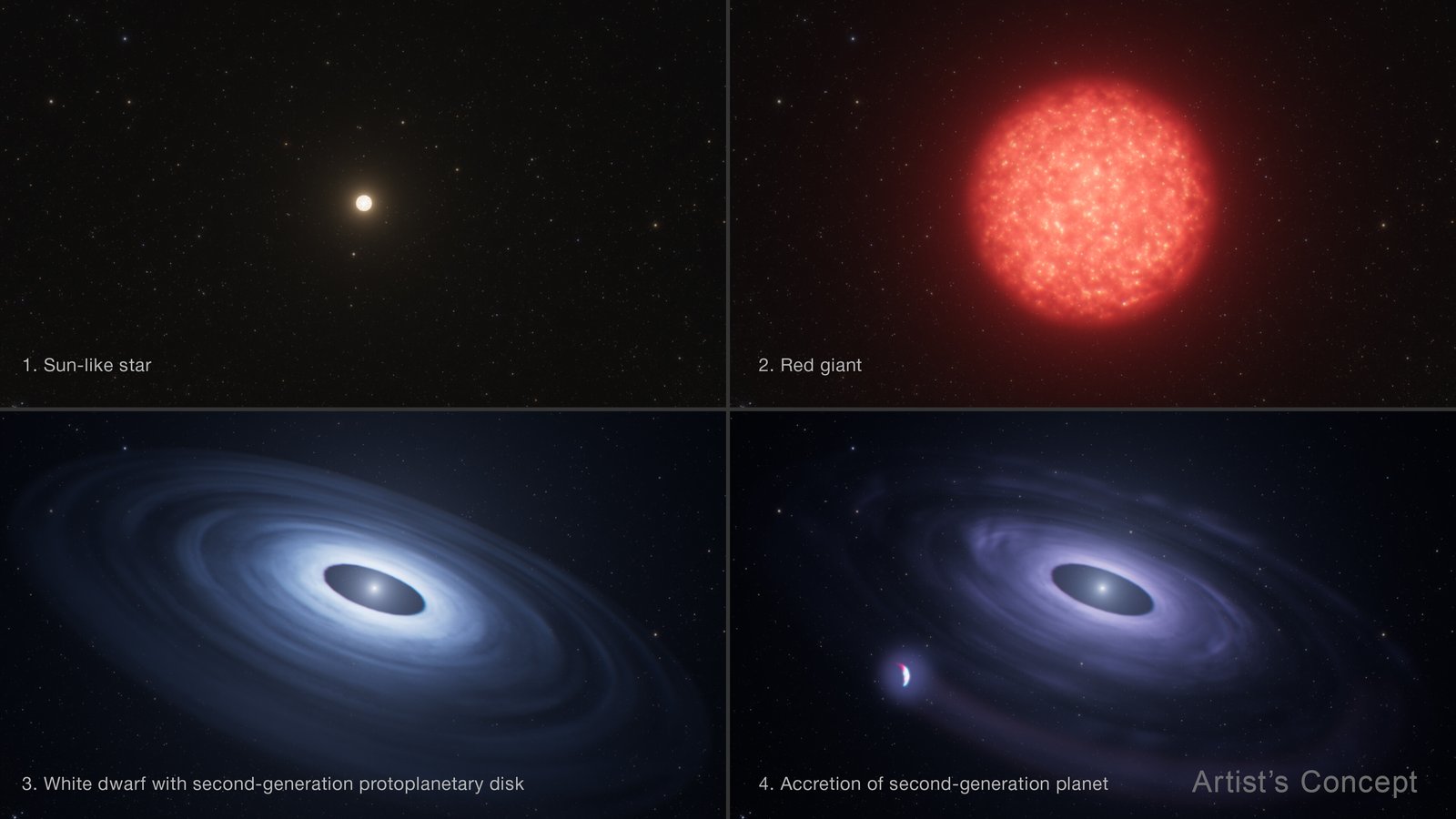 Four-panel illustration: a Sun-like star becomes a red giant, then a white dwarf with a disk, from which a new planet forms