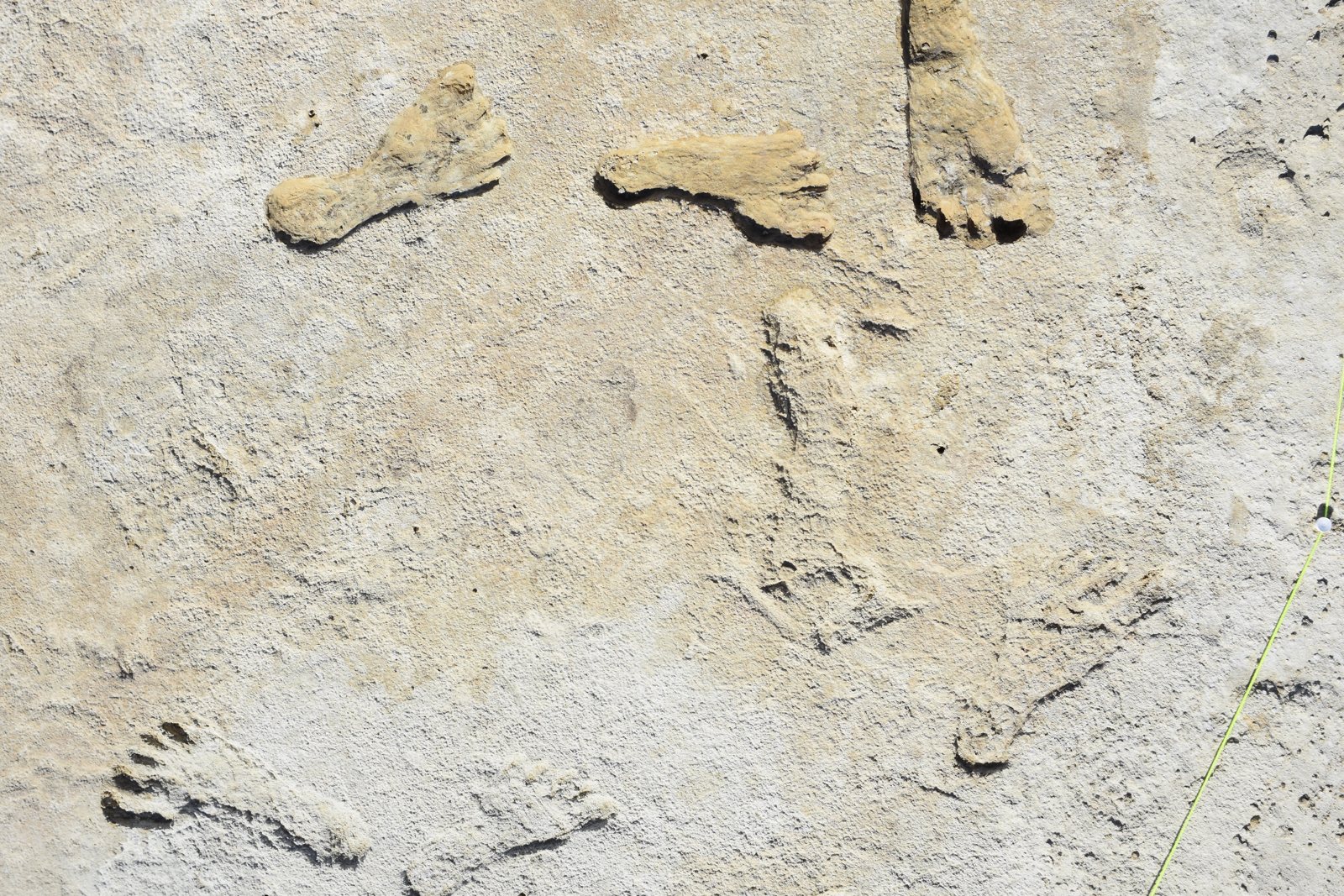 Seven fossil human footprints pressed into pale gypsum ground at White Sands National Park